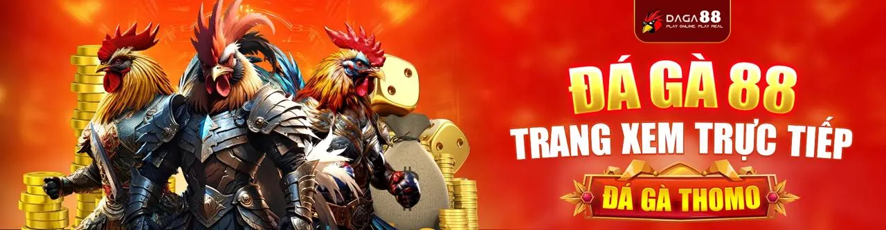 Đá gà trực tuyến kịch tính trên nền tảng f1686 APK